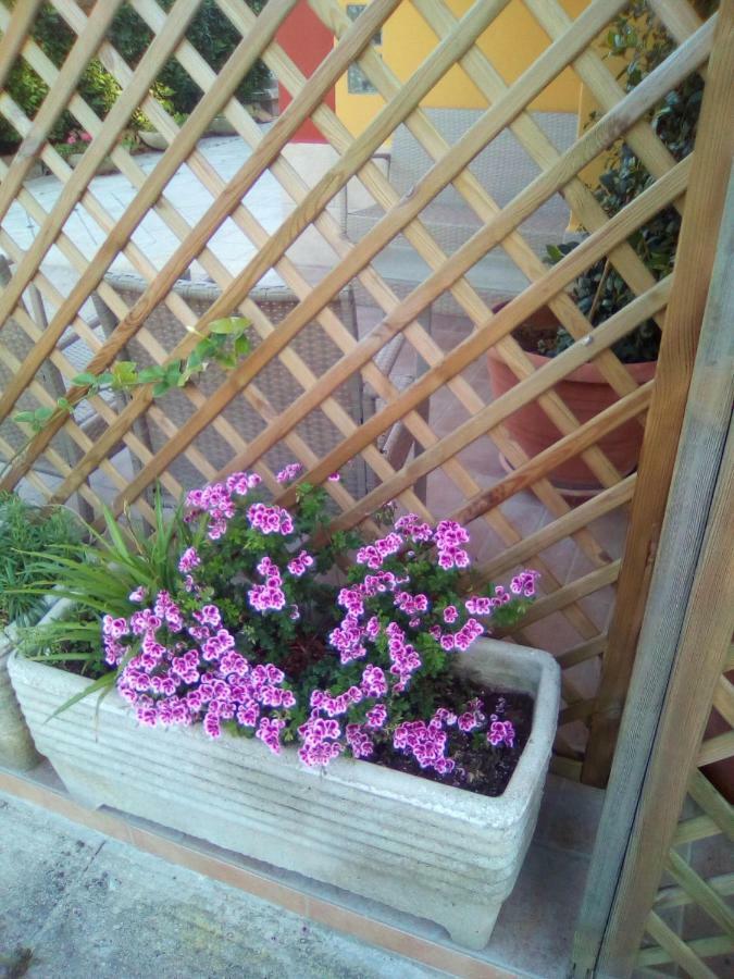 MaglianoCasa Te La Bradamante住宿加早餐旅馆 外观 照片